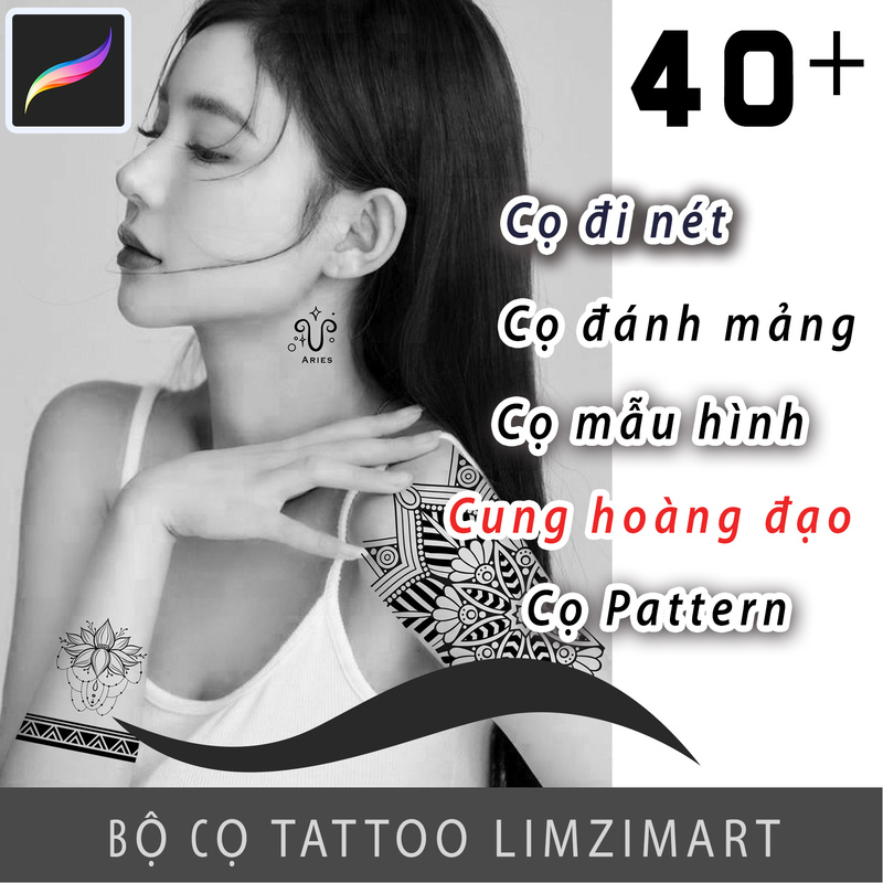 BỘ CỌ TATTOO PROCREATE LIMZIMART